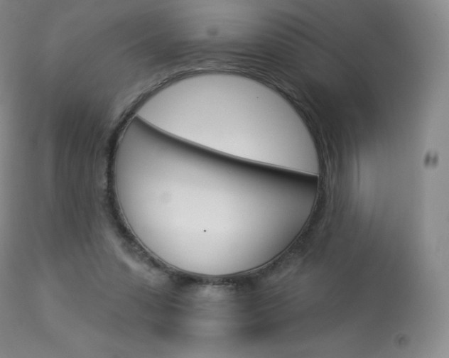 X0000113920303200909241335