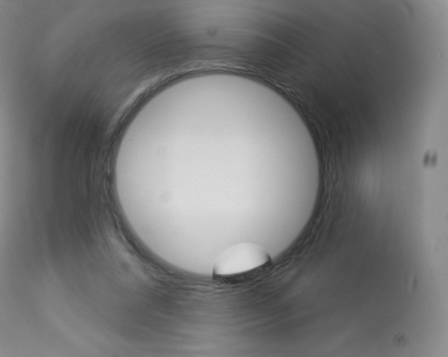 X0000113920304200909241335