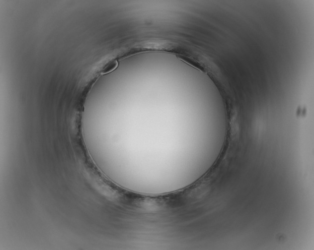 X0000113920305200909241335