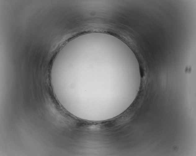 X0000113920306200909241335