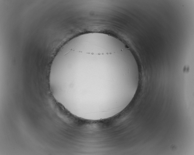 X0000113920307200909241335