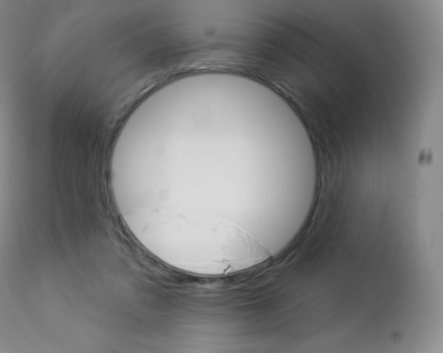 X0000113920309200909241335