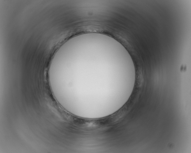 X0000113920310200909241335