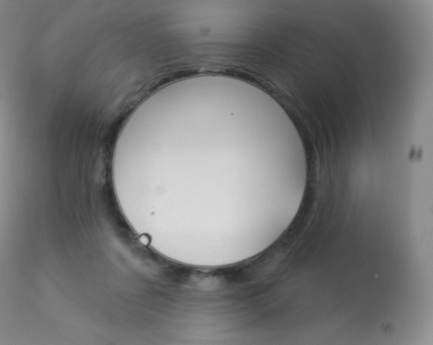 X0000113920311200909241335