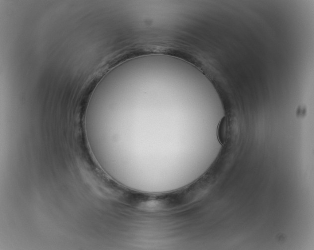 X0000113920312200909241335