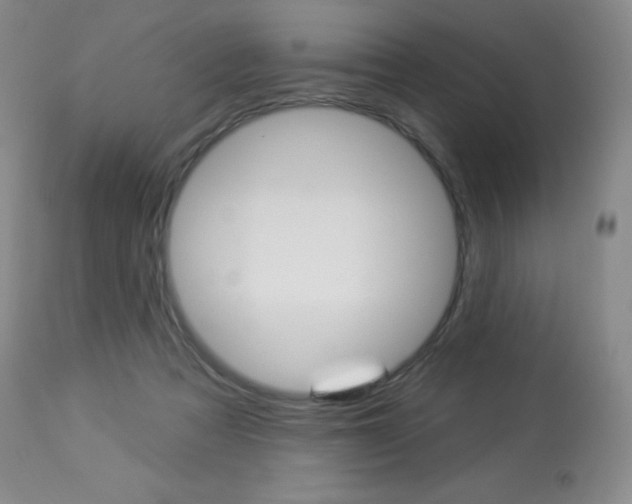 X0000113920313200909241335