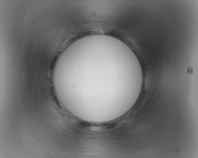 X0000113920314200909241335