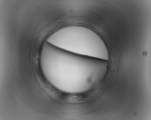 X0000113920315200909241335