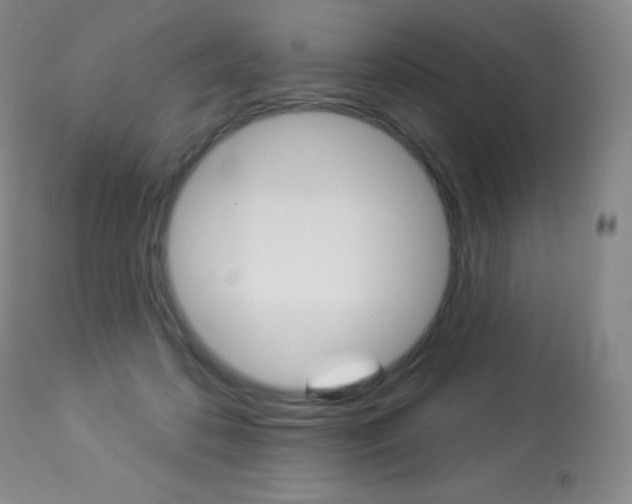 X0000113920316200909241335