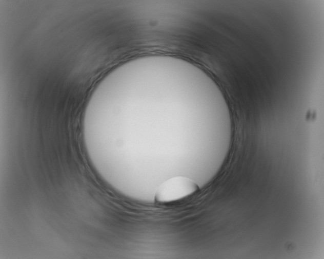 X0000113920317200909241335