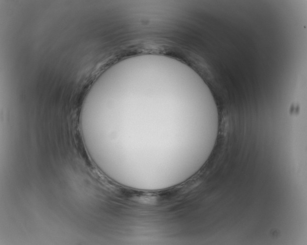 X0000113920318200909241335