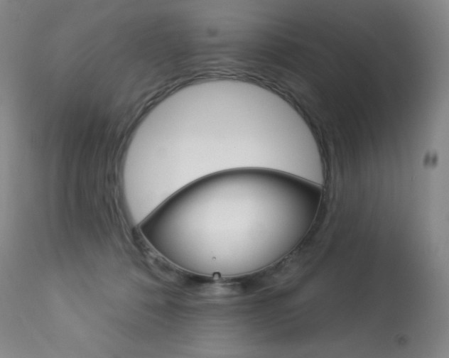 X0000113920320200909241335