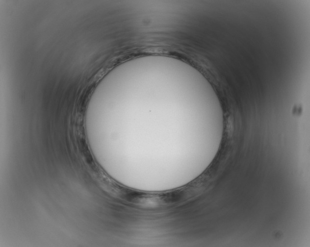 X0000113920322200909241335