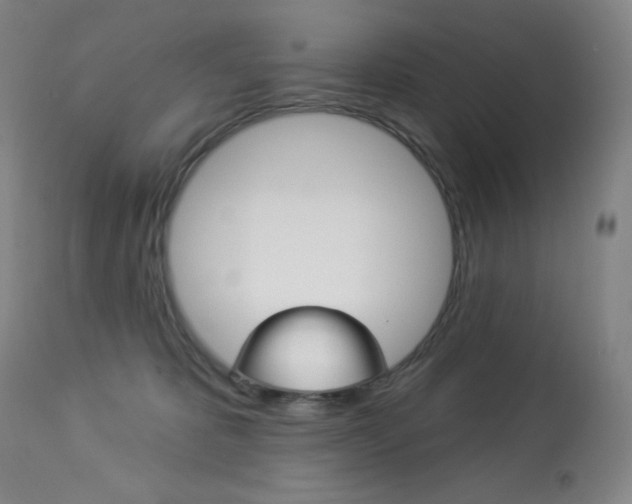 X0000113920325200909241335