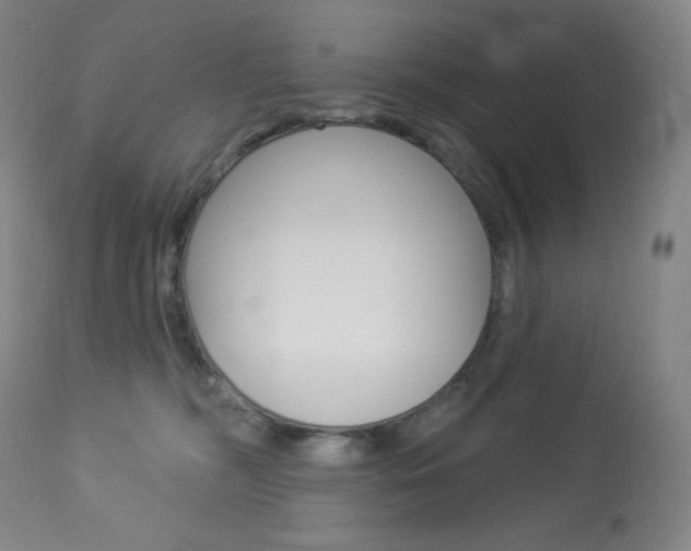 X0000113920326200909241335