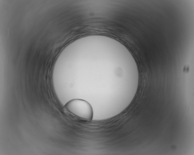 X0000113920327200909241335