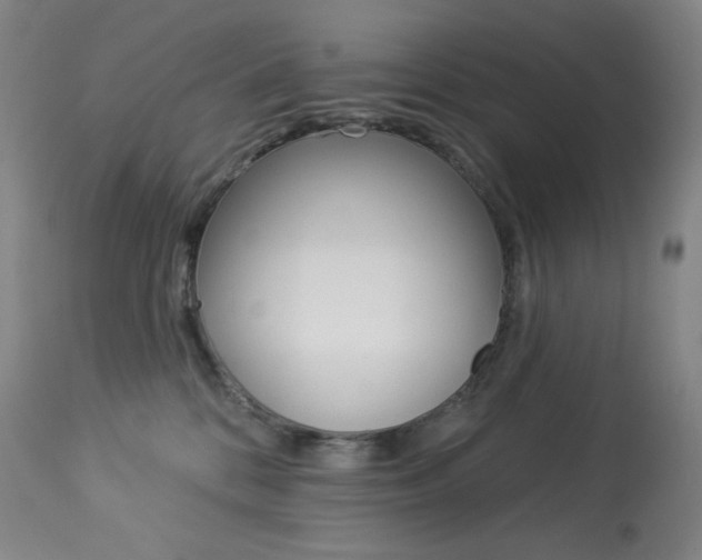 X0000113920328200909241335