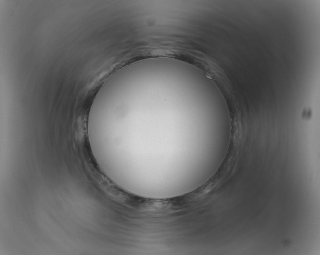 X0000113920329200909241335