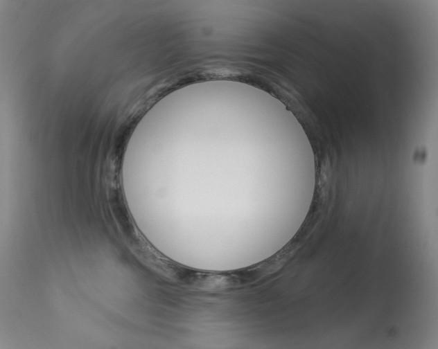 X0000113920330200909241335