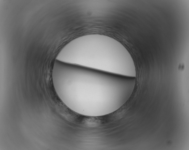 X0000113920331200909241335