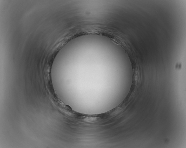 X0000113920332200909241335