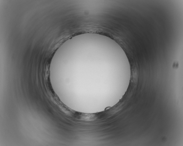 X0000113920334200909241335