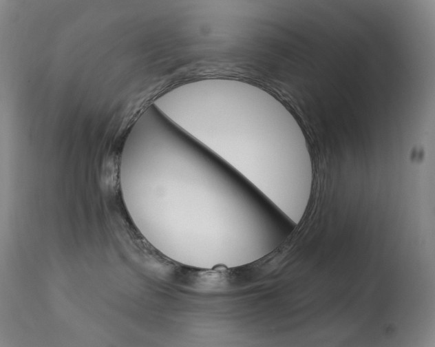 X0000113920335200909241335