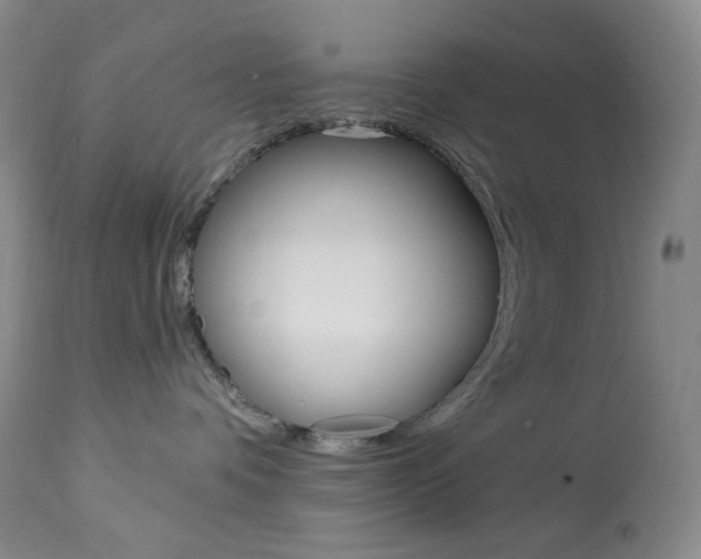 X0000113920336200909241335