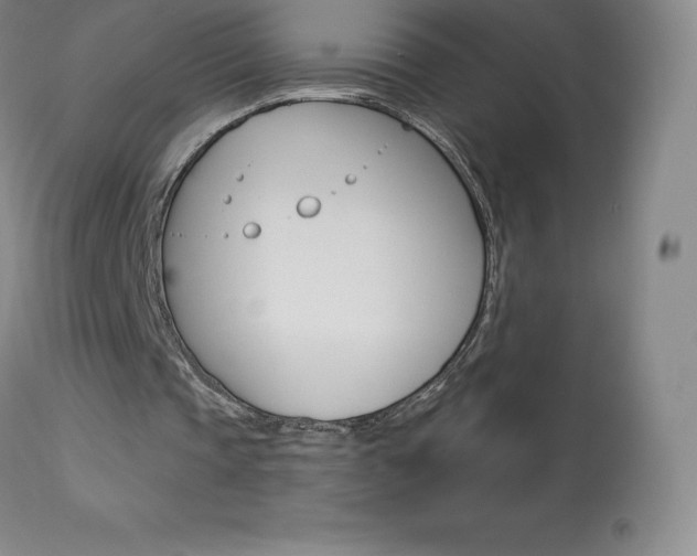 X0000113920337200909241334