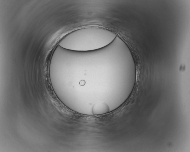 X0000113920339200909241334