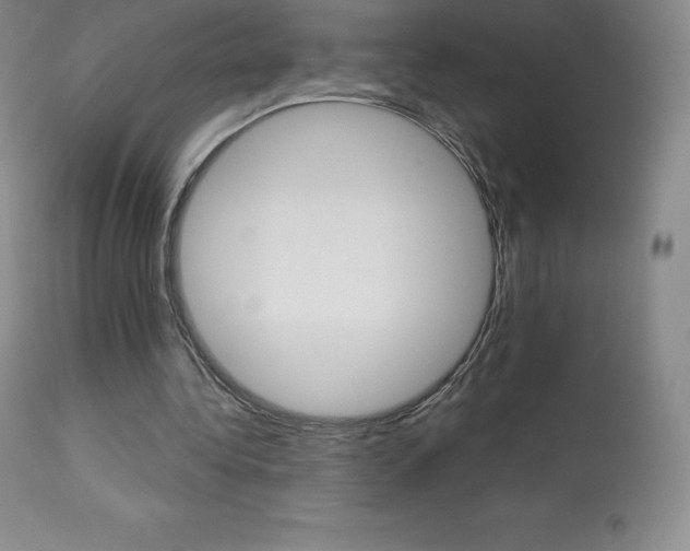 X0000113920340200909241334