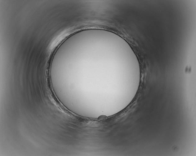 X0000113920341200909241334