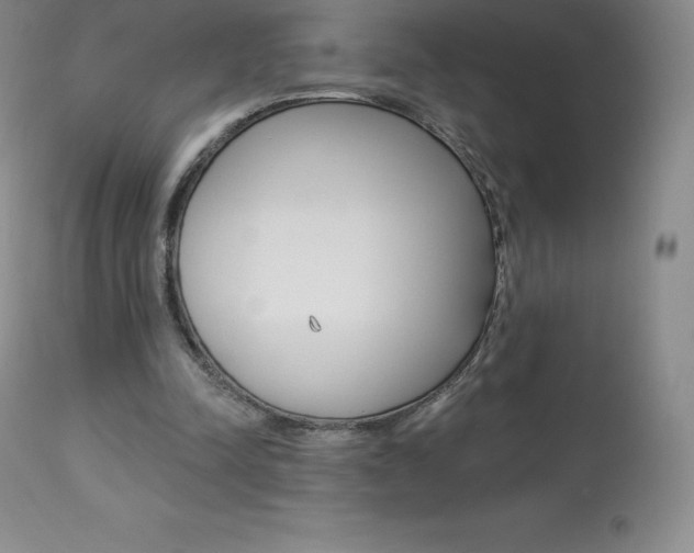 X0000113920342200909241334