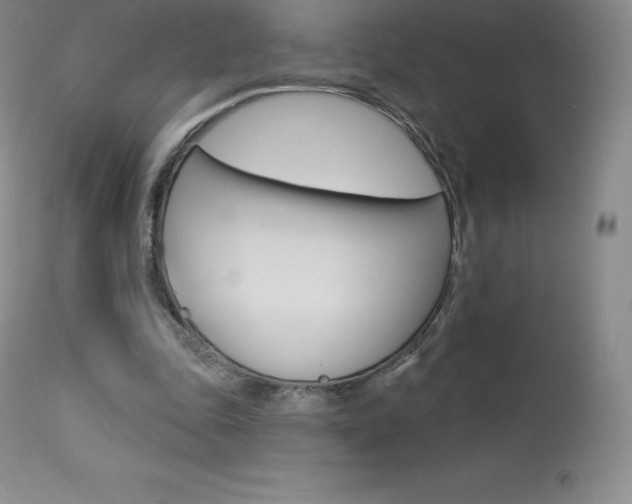 X0000113920343200909241334