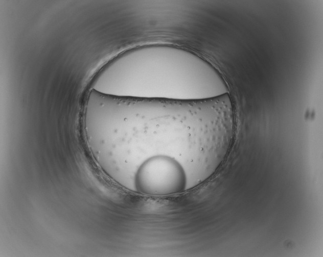 X0000113920346200909241334