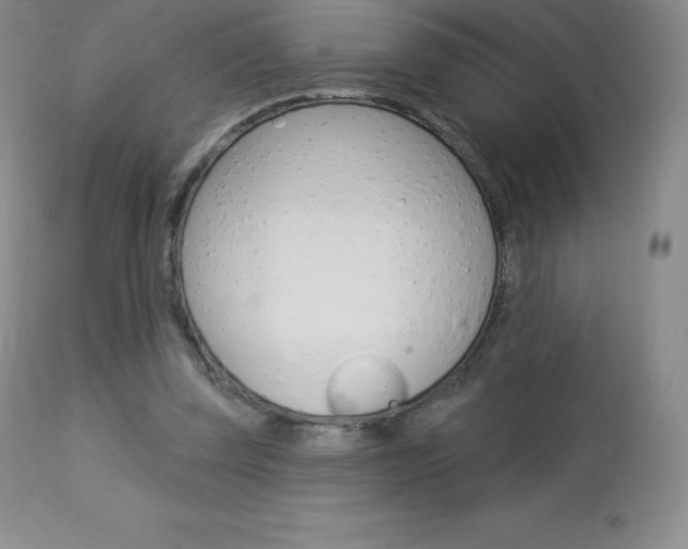 X0000113920347200909241334