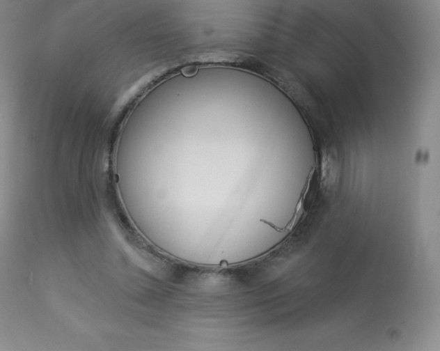 X0000113920348200909241334