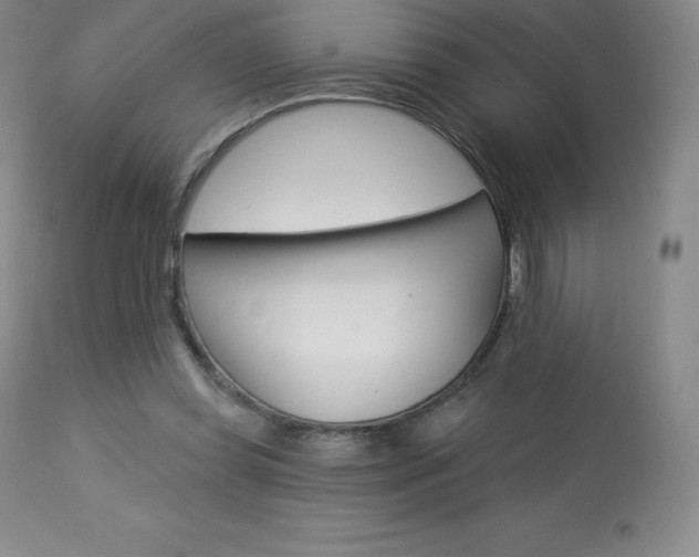 X0000113920349200909241334