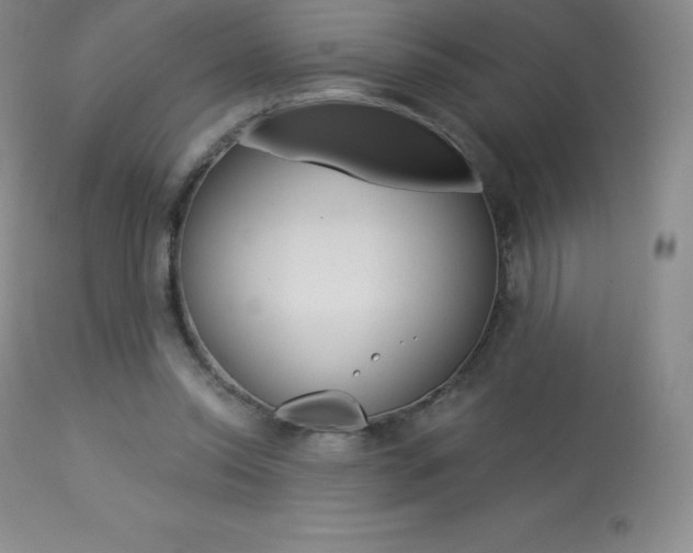 X0000113920350200909241334