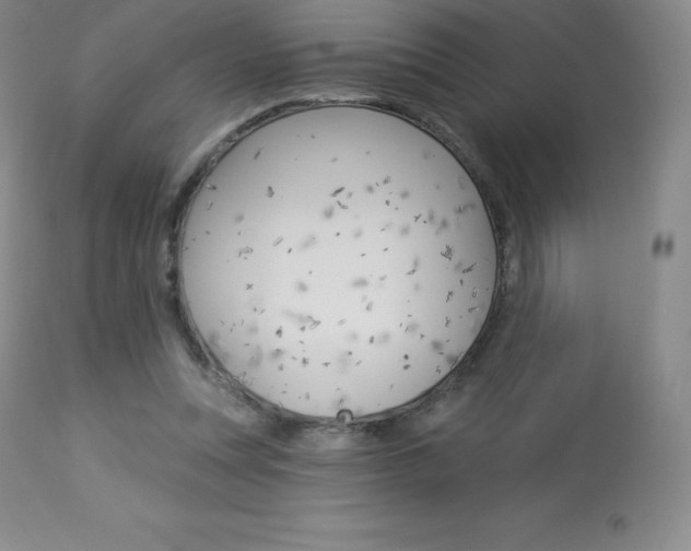 X0000113920351200909241334