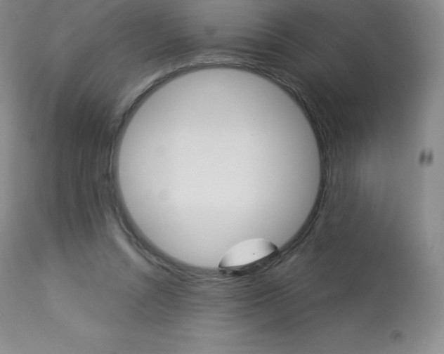 X0000113920352200909241334