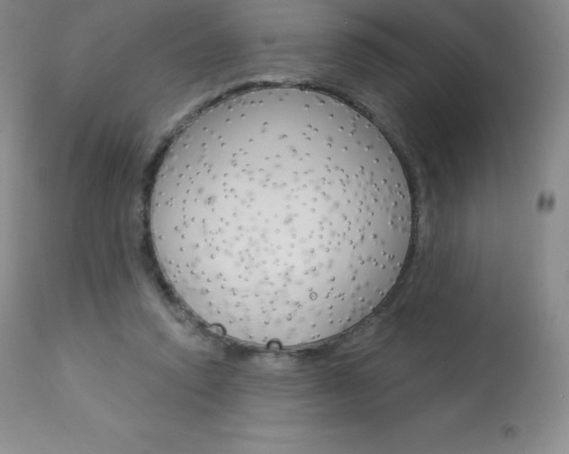 X0000113920354200909241334