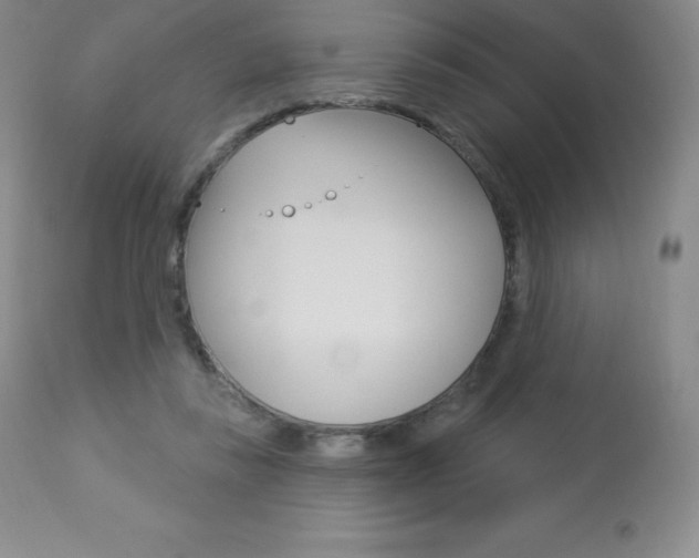 X0000113920355200909241334