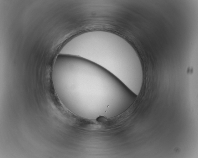 X0000113920356200909241334