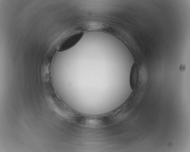 X0000113920360200909241334