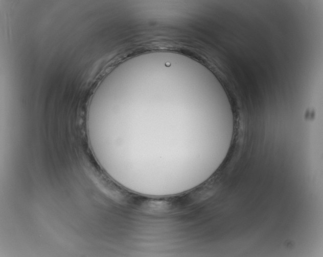 X0000113920361200909241335