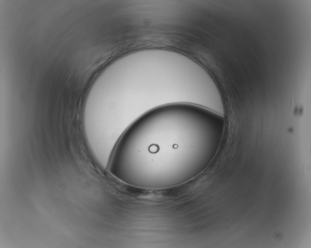 X0000113920362200909241335