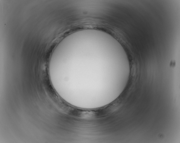 X0000113920363200909241335