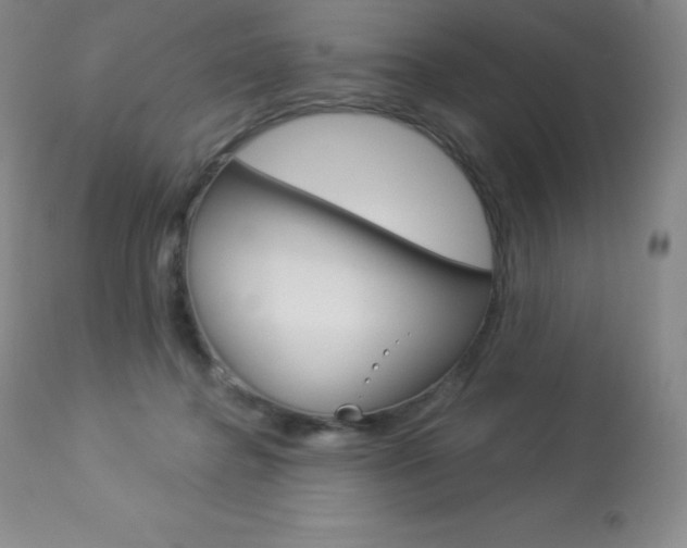 X0000113920364200909241335