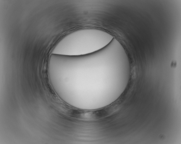 X0000113920365200909241335